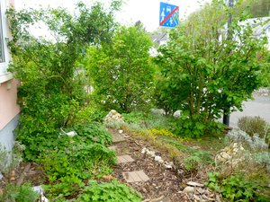 Platz1_Umweltpreis Platz1_Umweltpreis